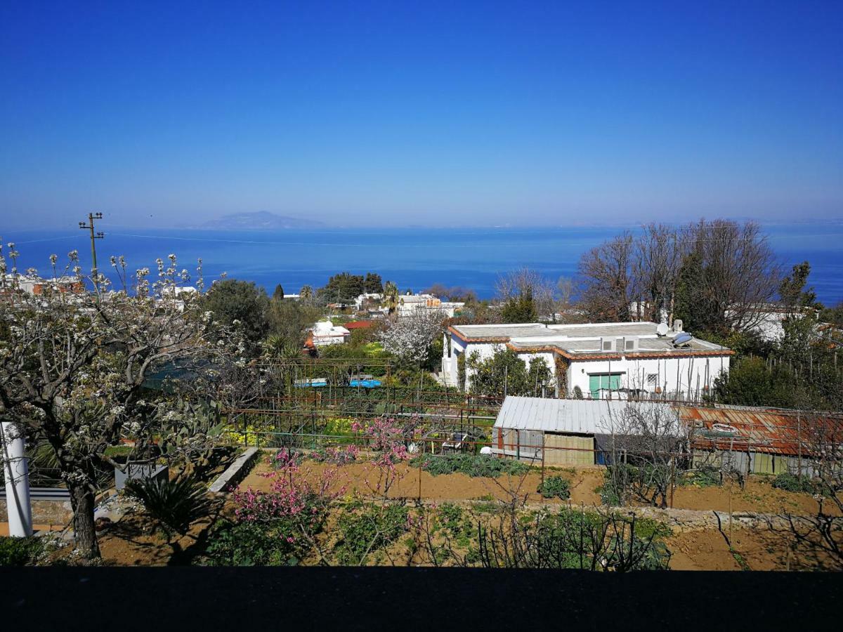 Maryhome Anacapri (Isola di Capri) Exterior photo